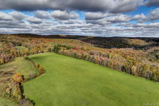 an aerial view of residential houses with outdoor space and trees