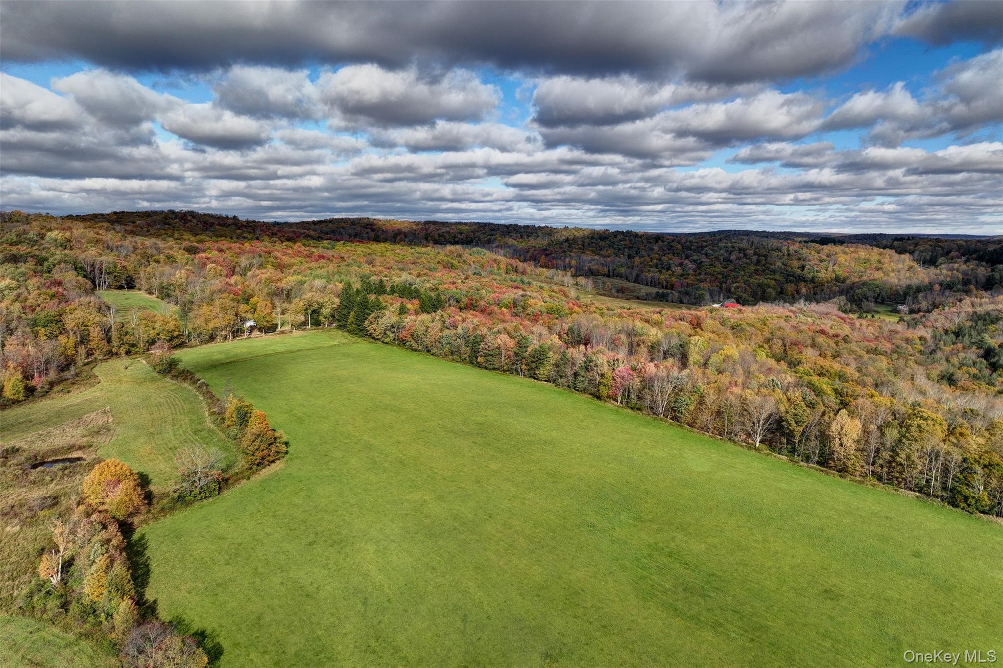 104 William Herbert Road Fremont Center, NY 12736 - Photo 33 of 43 a view of an ocean and beach