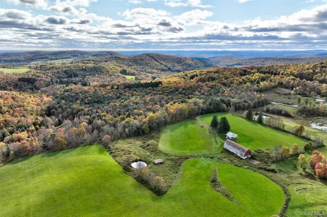 a view of a field with an ocean