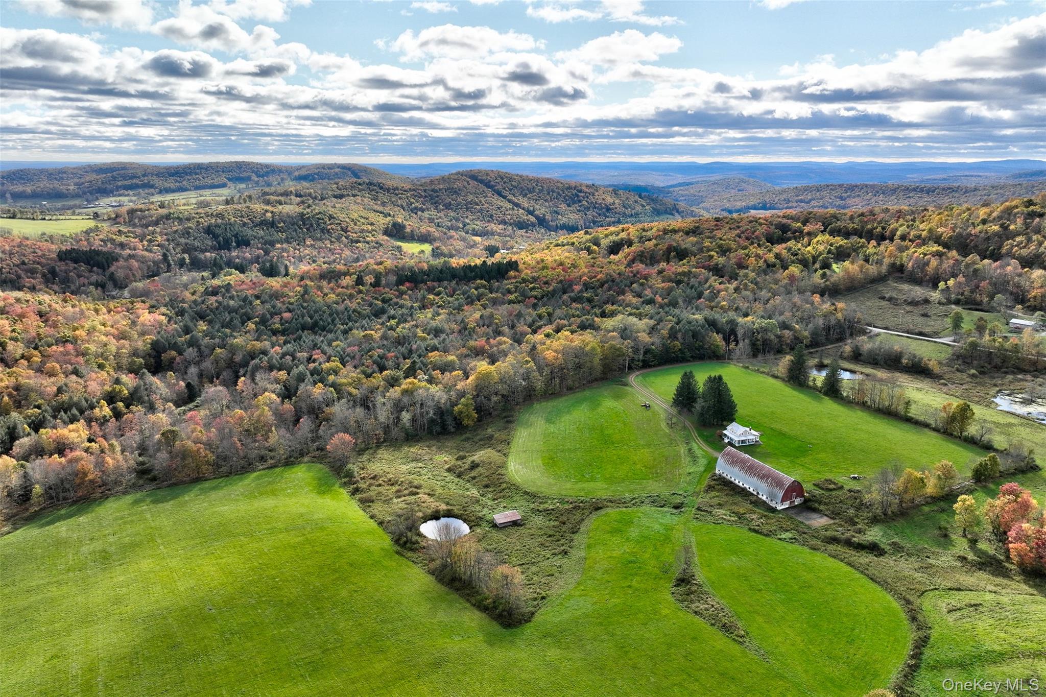 104 William Herbert Road Fremont Center, NY 12736 - Photo 34 of 43 an aerial view of residential houses with outdoor space and trees