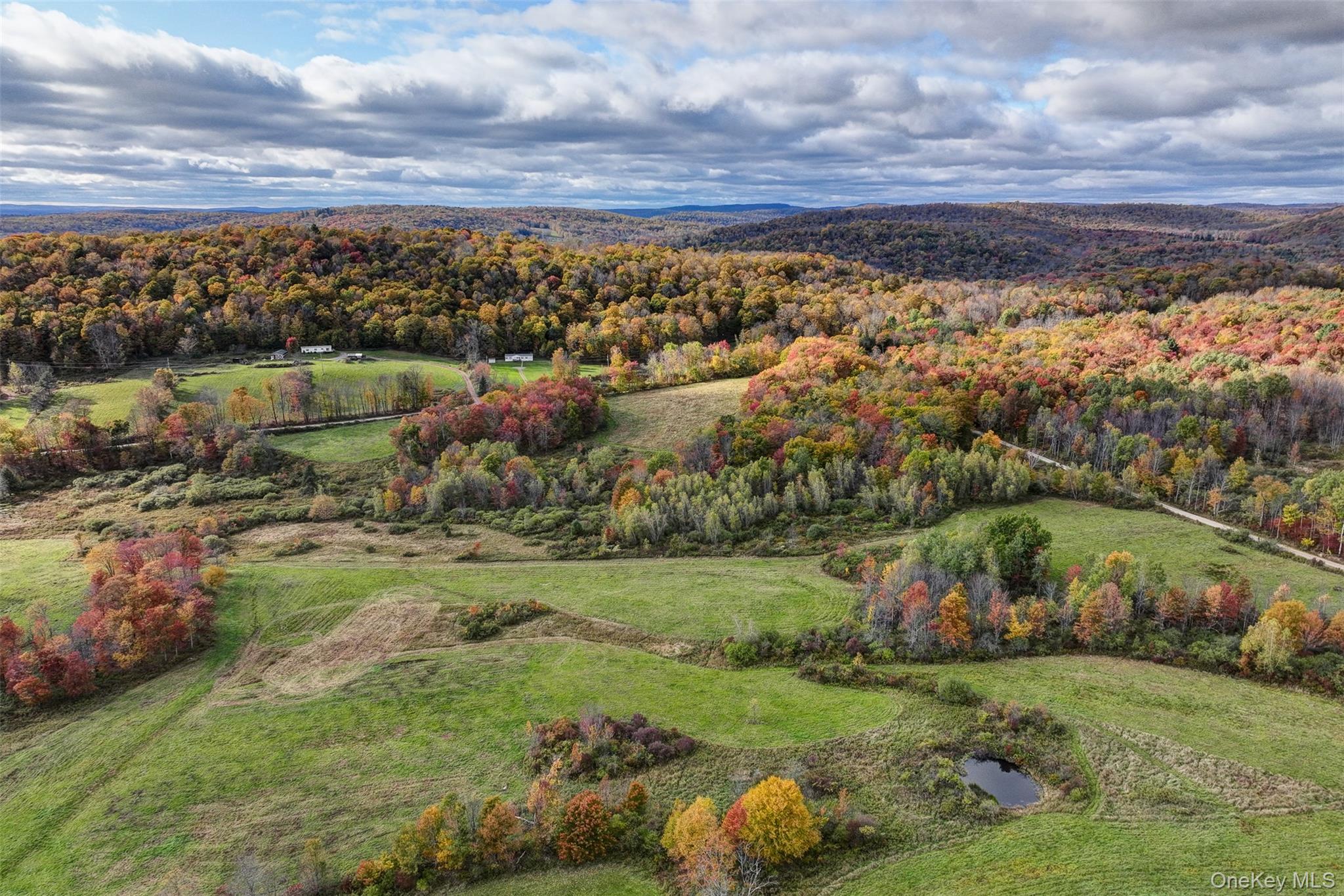 104 William Herbert Road Fremont Center, NY 12736 - Photo 35 of 43 a view of a field with an ocean