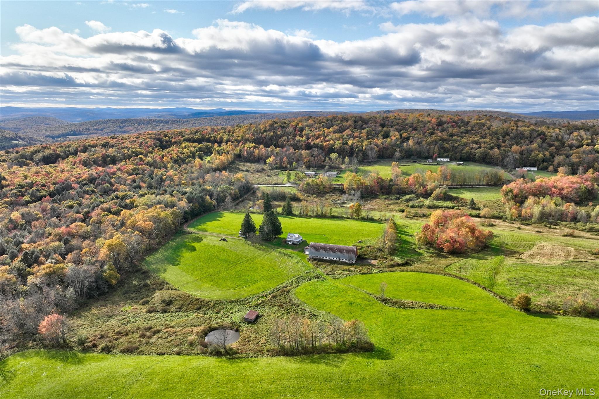 104 William Herbert Road Fremont Center, NY 12736 - Photo 36 of 43 an aerial view of residential houses with outdoor space