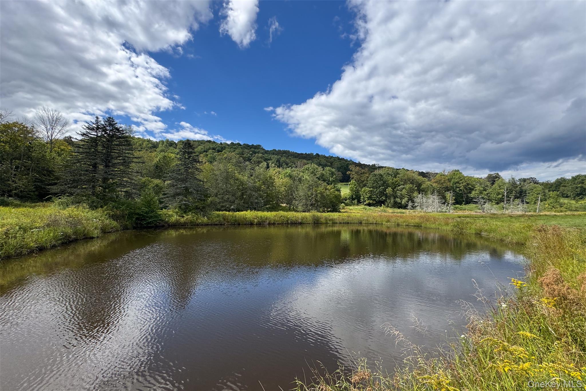 104 William Herbert Road Fremont Center, NY 12736 - Photo 37 of 43 a view of a lake with a city