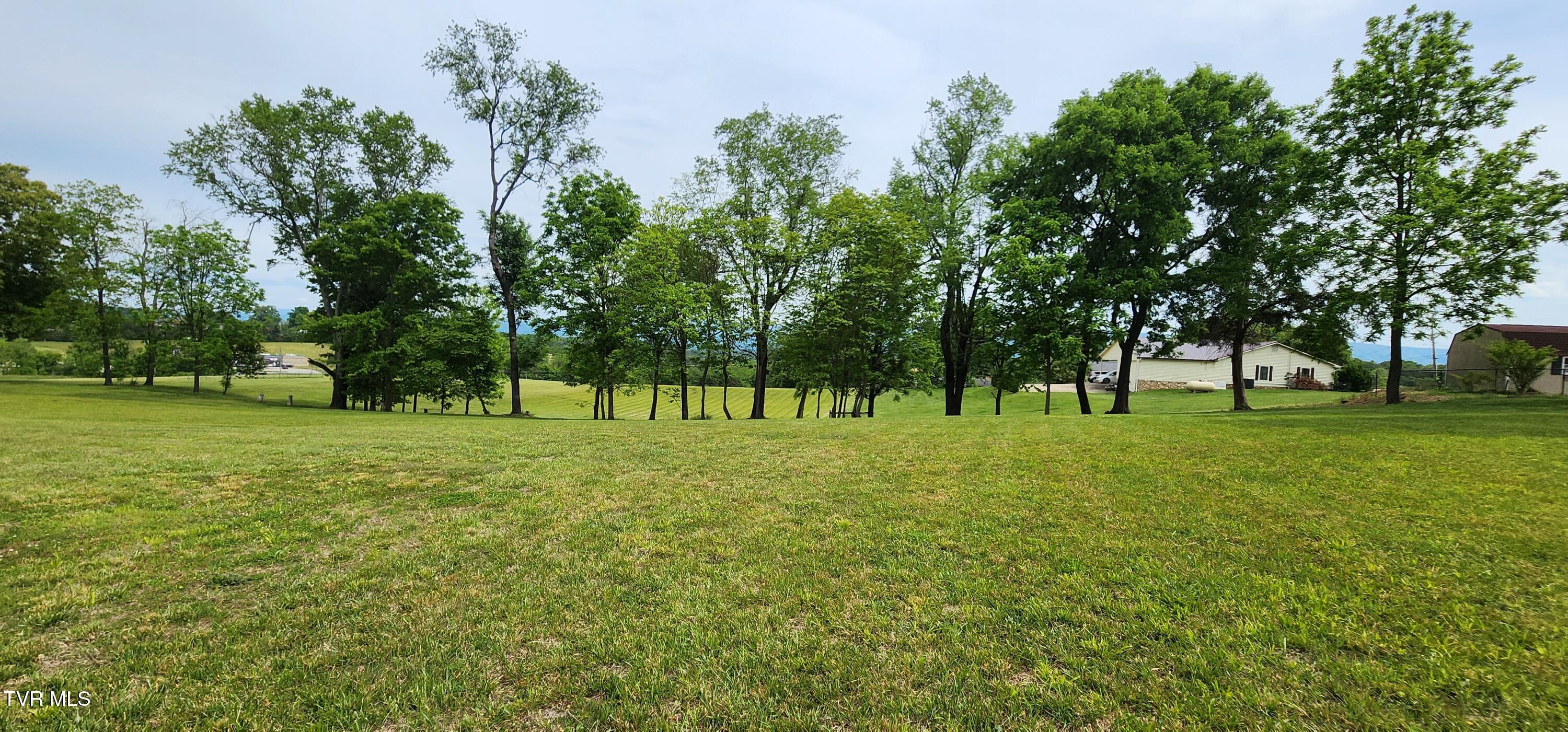 Tbd Emmert Street, Unit 2 Greeneville, TN 37745 - Photo 5 of 25 1000072515