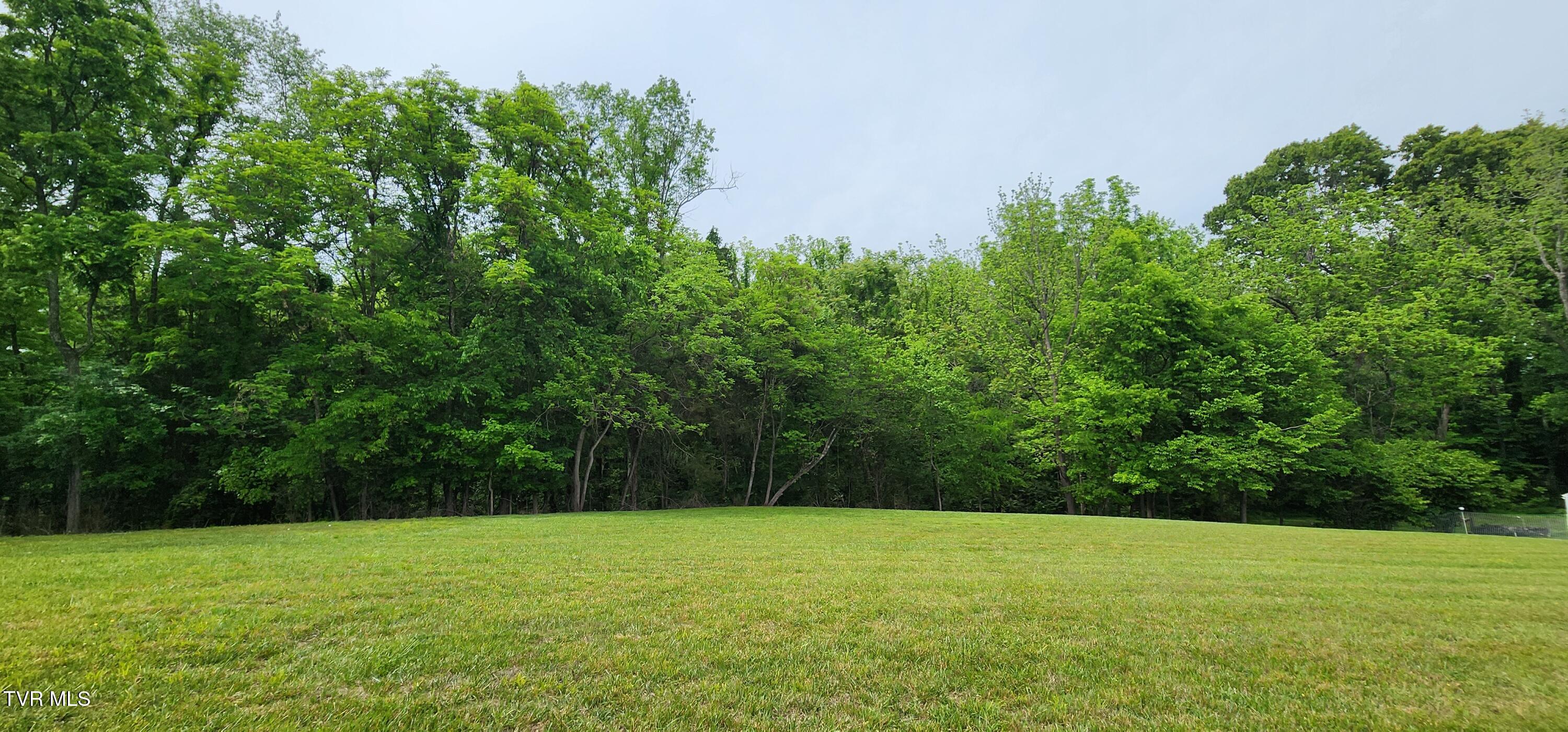 Tbd Emmert Street, Unit 2 Greeneville, TN 37745 - Photo 6 of 25 1000072505