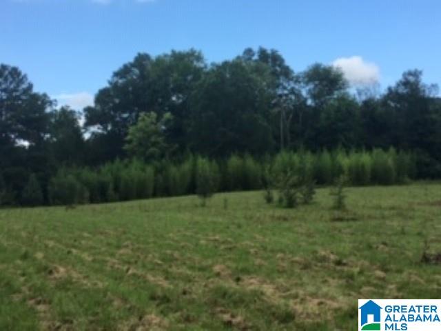 0 Hackney Street, Unit 8 29 ACRES Lincoln, AL 35096 - Photo 17 of 18