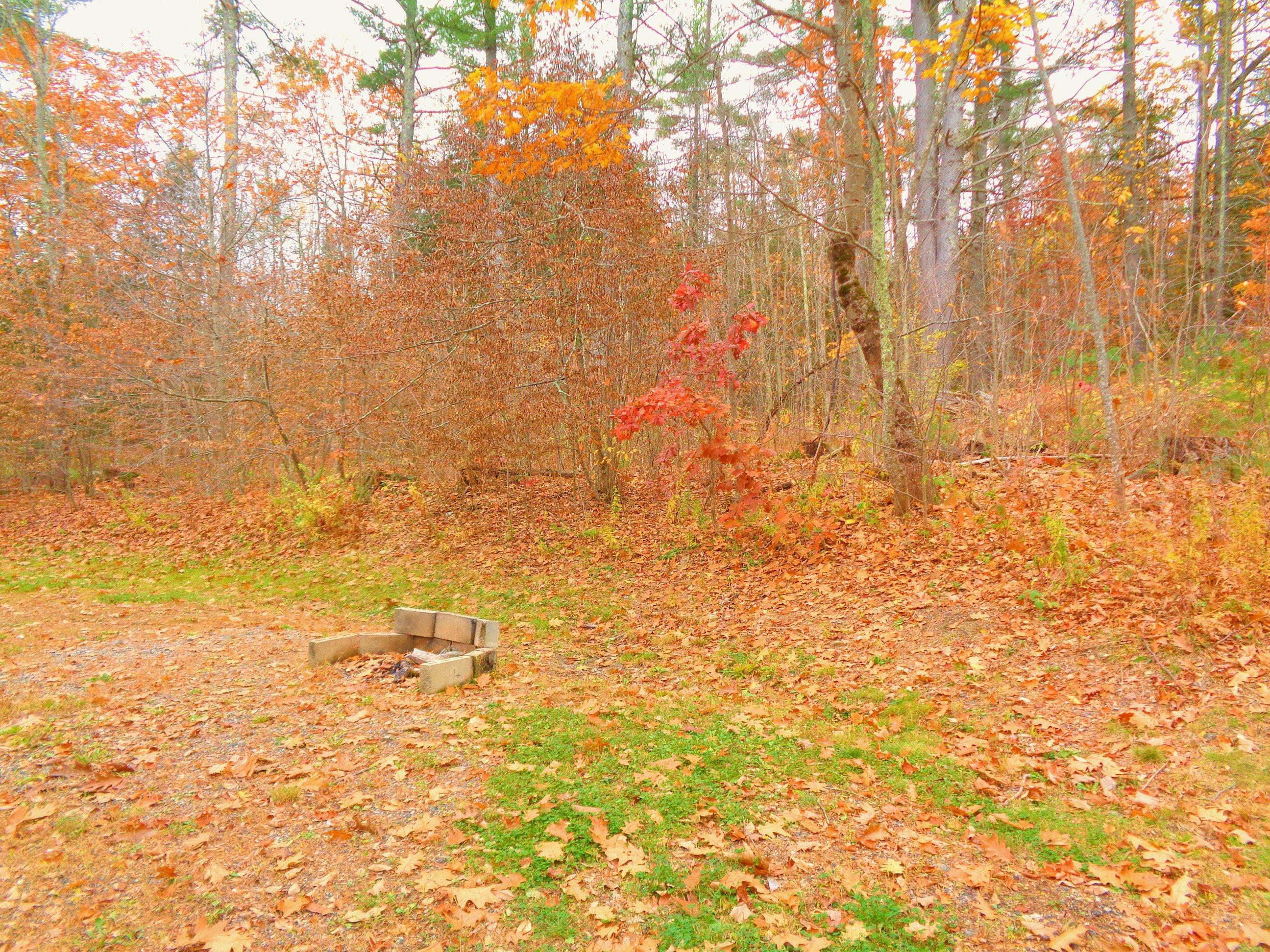 588 Cape Road Hollis Center, ME 04042 - Photo 24 of 39 DSC05435