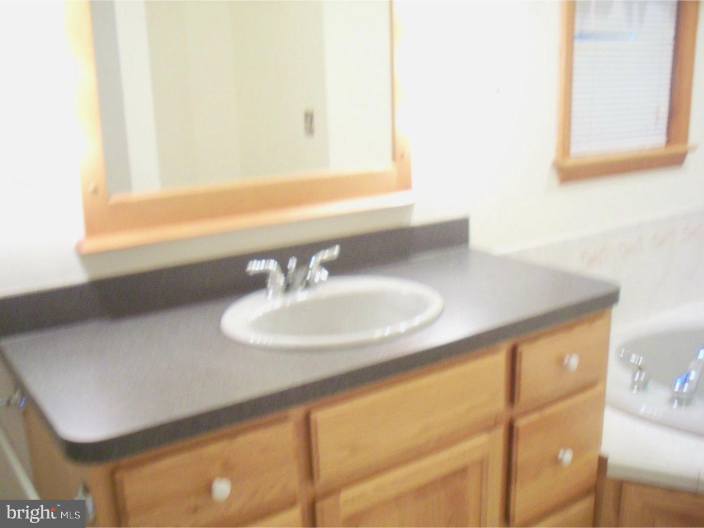 1020 Steeles Ridge Road Camden, DE 19934 - Photo 11 of 19 Master Bathroom