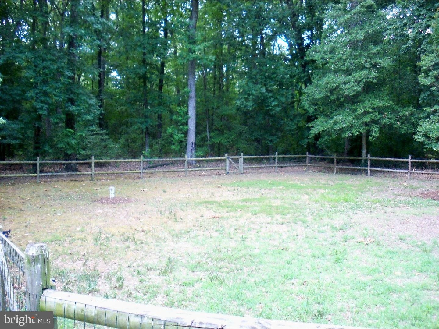 1020 Steeles Ridge Road Camden, DE 19934 - Photo 19 of 19 Back Yard