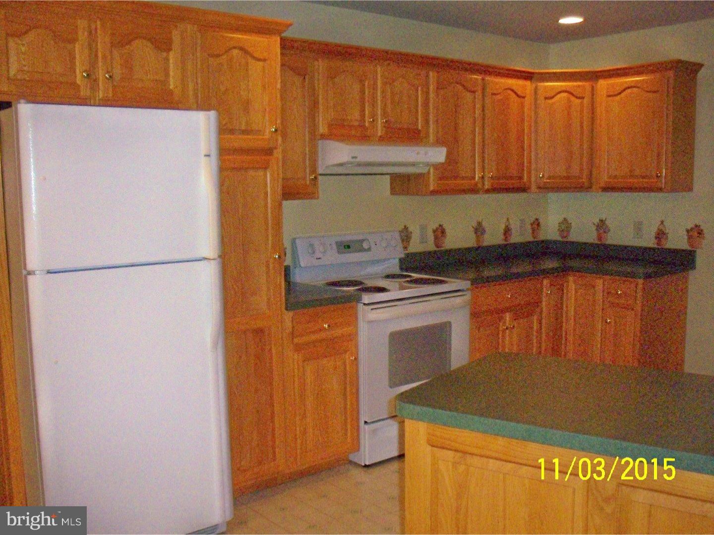 1020 Steeles Ridge Road Camden, DE 19934 - Photo 8 of 19 Kitchen