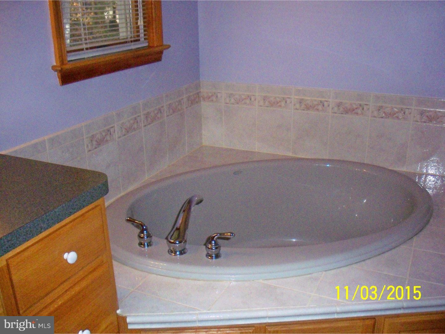 1020 Steeles Ridge Road Camden, DE 19934 - Photo 10 of 19 Master Bathroom