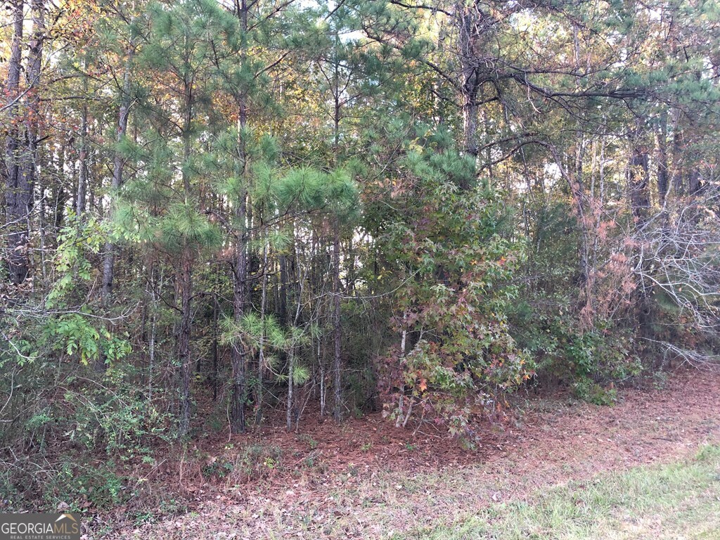 618 Gordon Edwards Road Dublin, GA 31021 - Photo 6 of 8