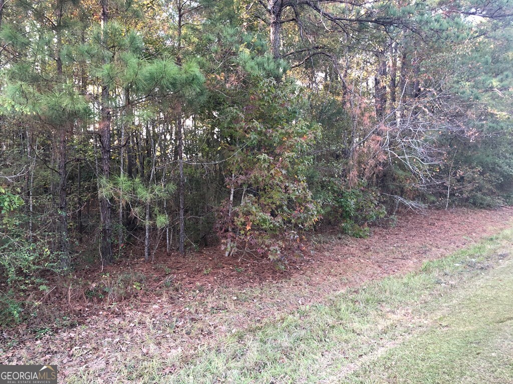 618 Gordon Edwards Road Dublin, GA 31021 - Photo 8 of 8