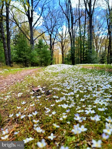 $2,629,120 | 614 Graystones Jeras Road, Jim Thorpe, PA 18229