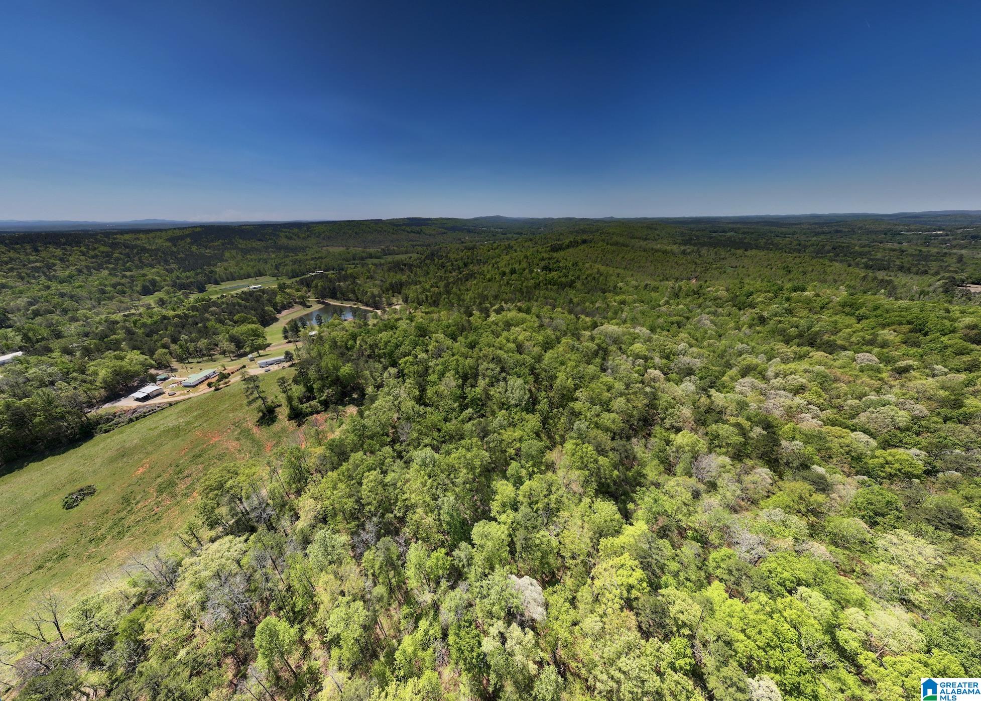 0 Pike Hill Road Ashville, AL 35953 - Photo 18 of 22