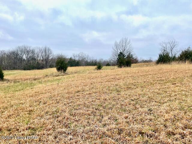 5 Timber Creek Road Bloomfield, KY 40008 - Photo 6 of 16 TC 5 Acres_4