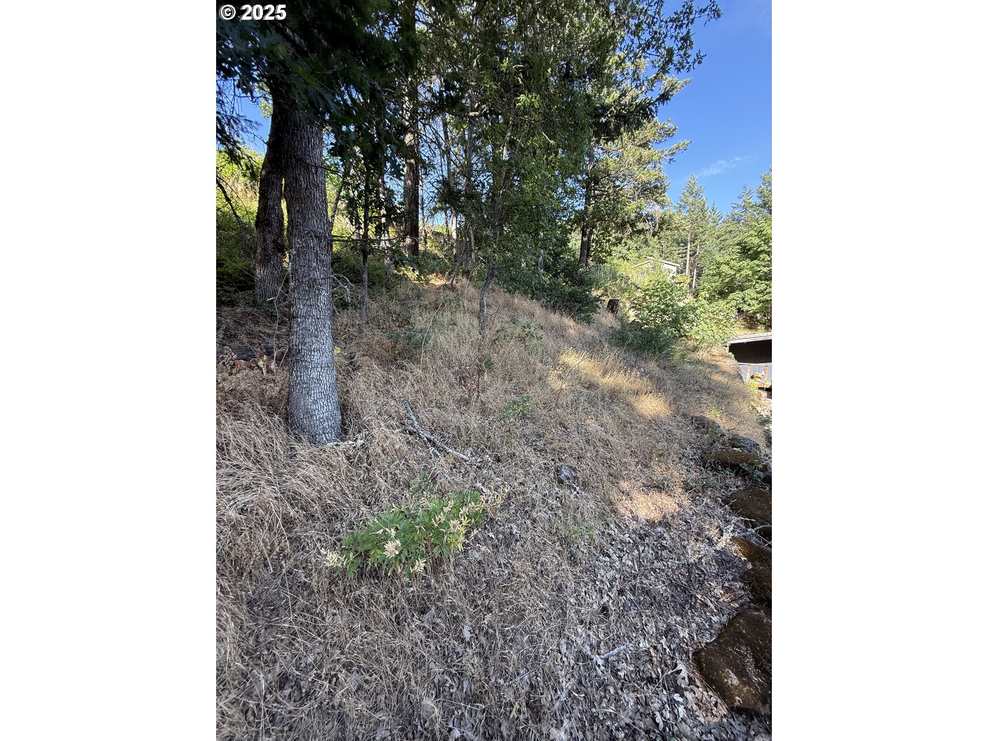 590 Northeast Spring Street White Salmon, WA 98672 - Photo 7 of 13 a view of a yard with plants and a tree