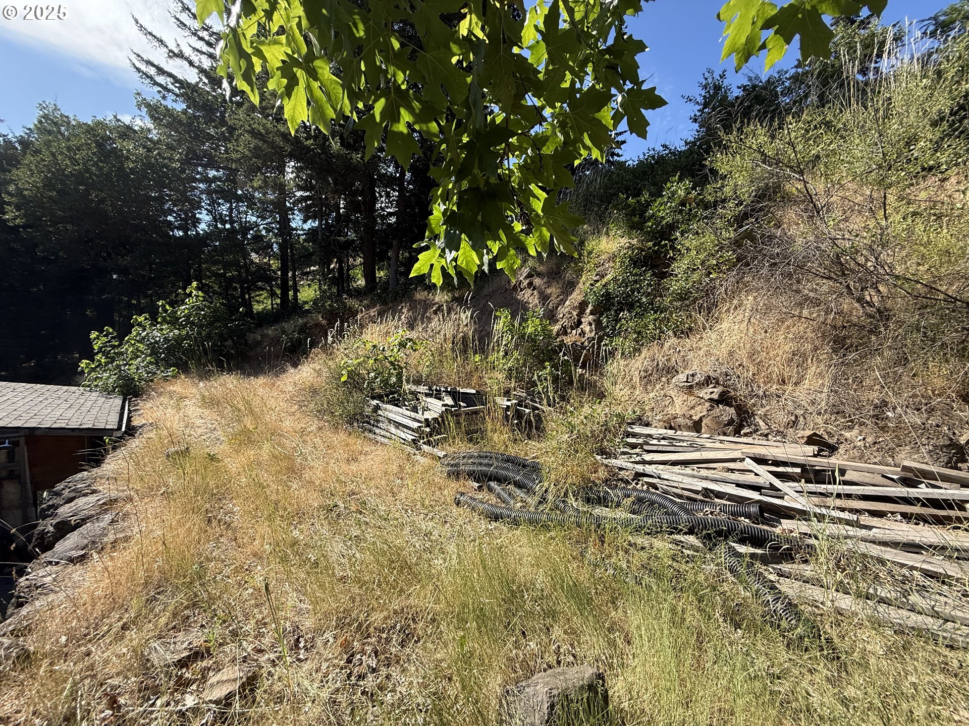 590 Northeast Spring Street White Salmon, WA 98672 - Photo 8 of 13 a view of a yard with plants and tree