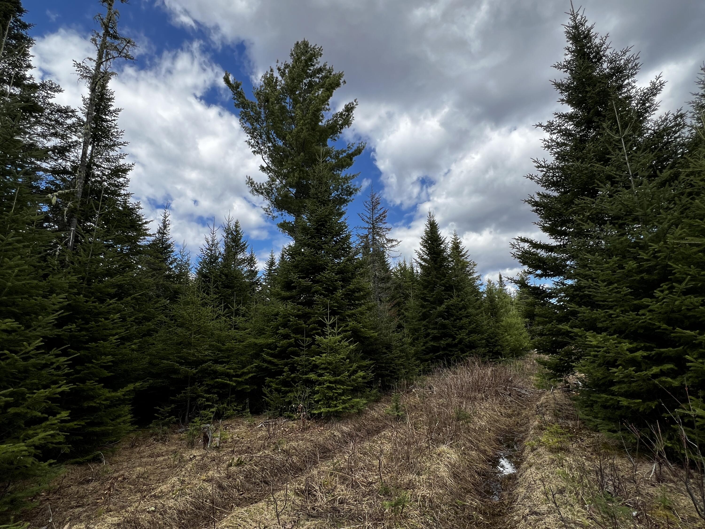 Lot 2-18 Shin Pond Rd Mount Mount Chase, ME 04765 - Photo 22 of 59