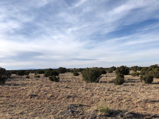 11 Anza Road Corona, NM 88318 - Photo 8 of 19
