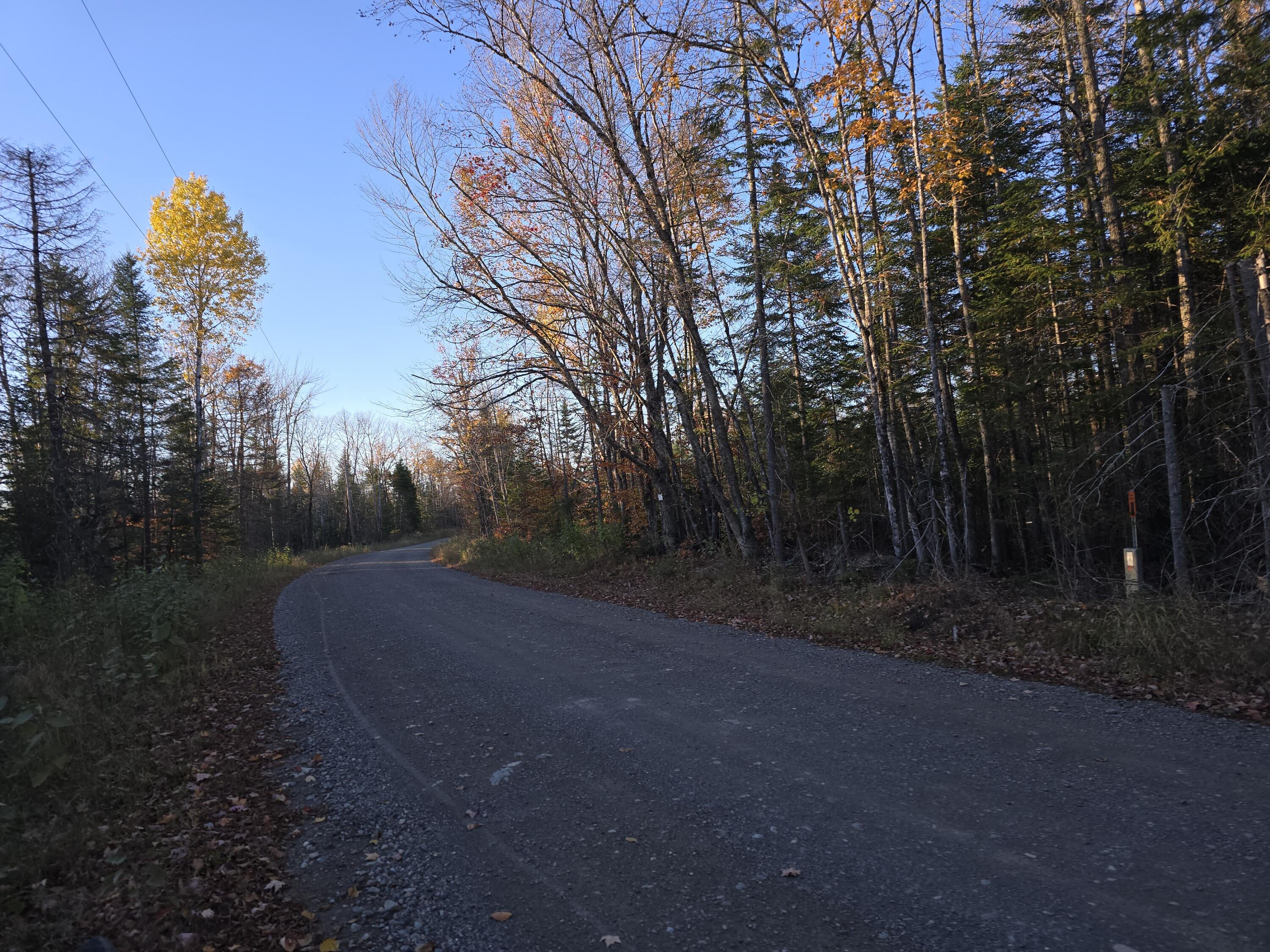 Lot E Cow Team Road Crystal, ME 04747 - Photo 3 of 7 20241017_165719