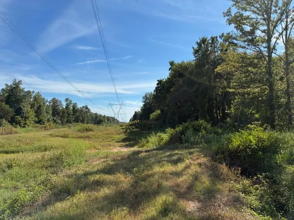 $494,235 | 13197 Johnsons Grove Road, Halls, TN 38040