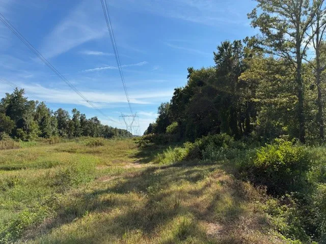 $546,500 | 13197 Johnsons Grove Road, Halls, TN 38040