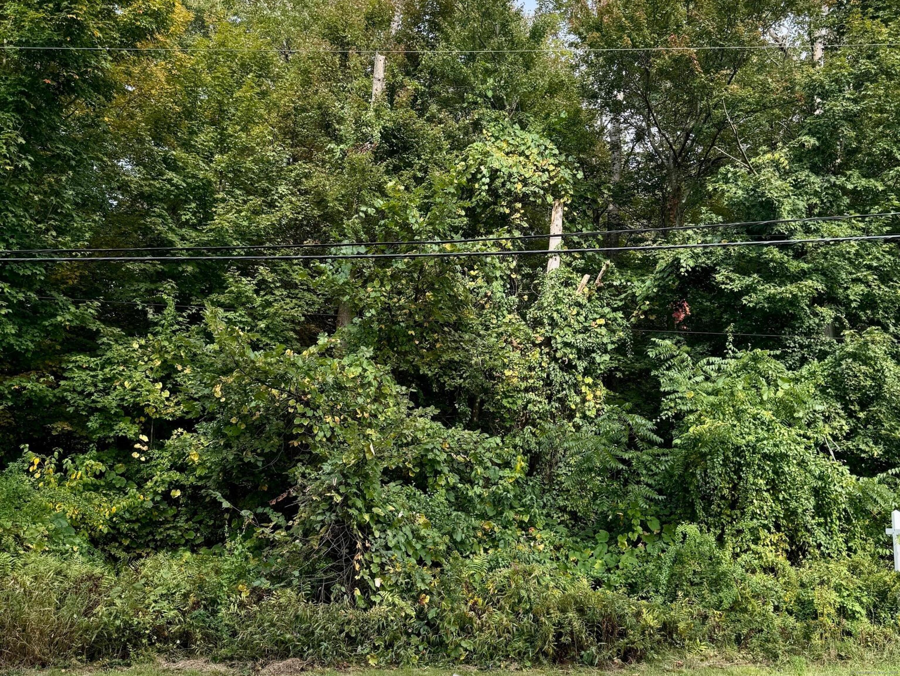 142 Turnpike Road Somers, CT 06071 - Photo 9 of 9 a view of a yard with plants