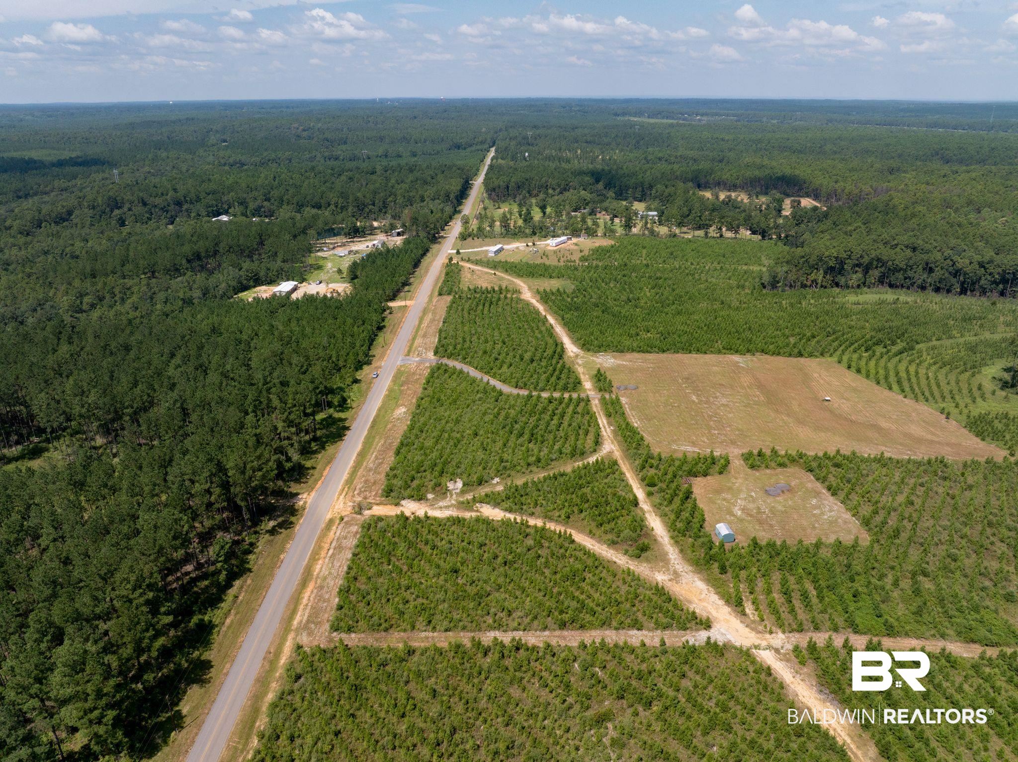 0 Horseneck Road Bay Minette, AL 36507 - Photo 9 of 11