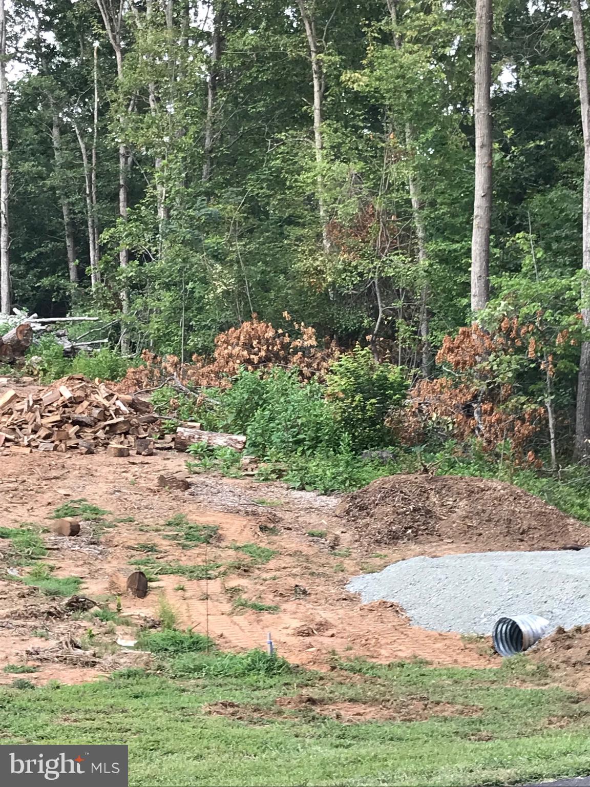 0 North Merrimac Road Culpeper, VA 22701 - Photo 4 of 31