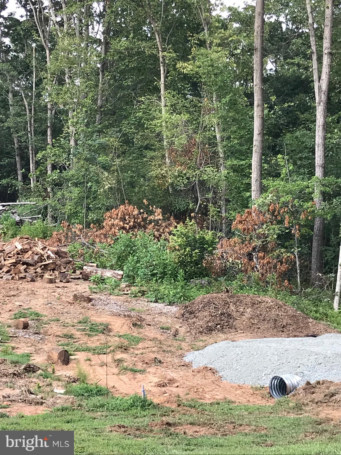 0 North Merrimac Road Culpeper, VA 22701 - Photo 6 of 31