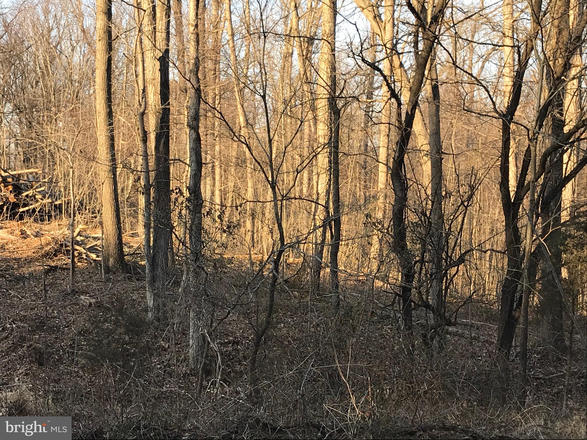 0 North Merrimac Road Culpeper, VA 22701 - Photo 8 of 31