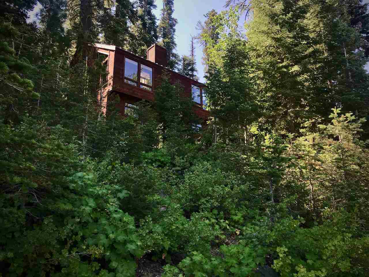 a view of a house with a tree