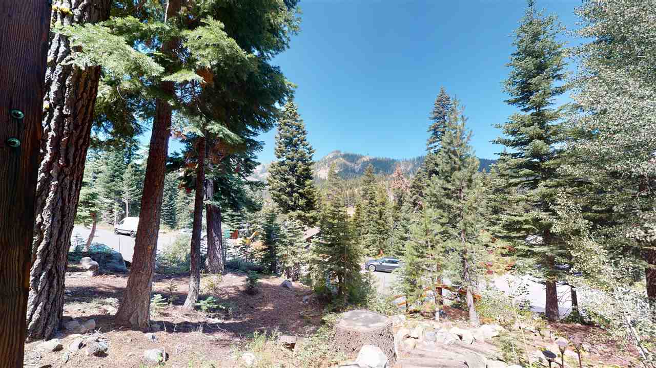 1069 Snow Crest Road Alpine Meadows, CA 96146 - Photo 2 of 20 a view of a yard with plants and trees