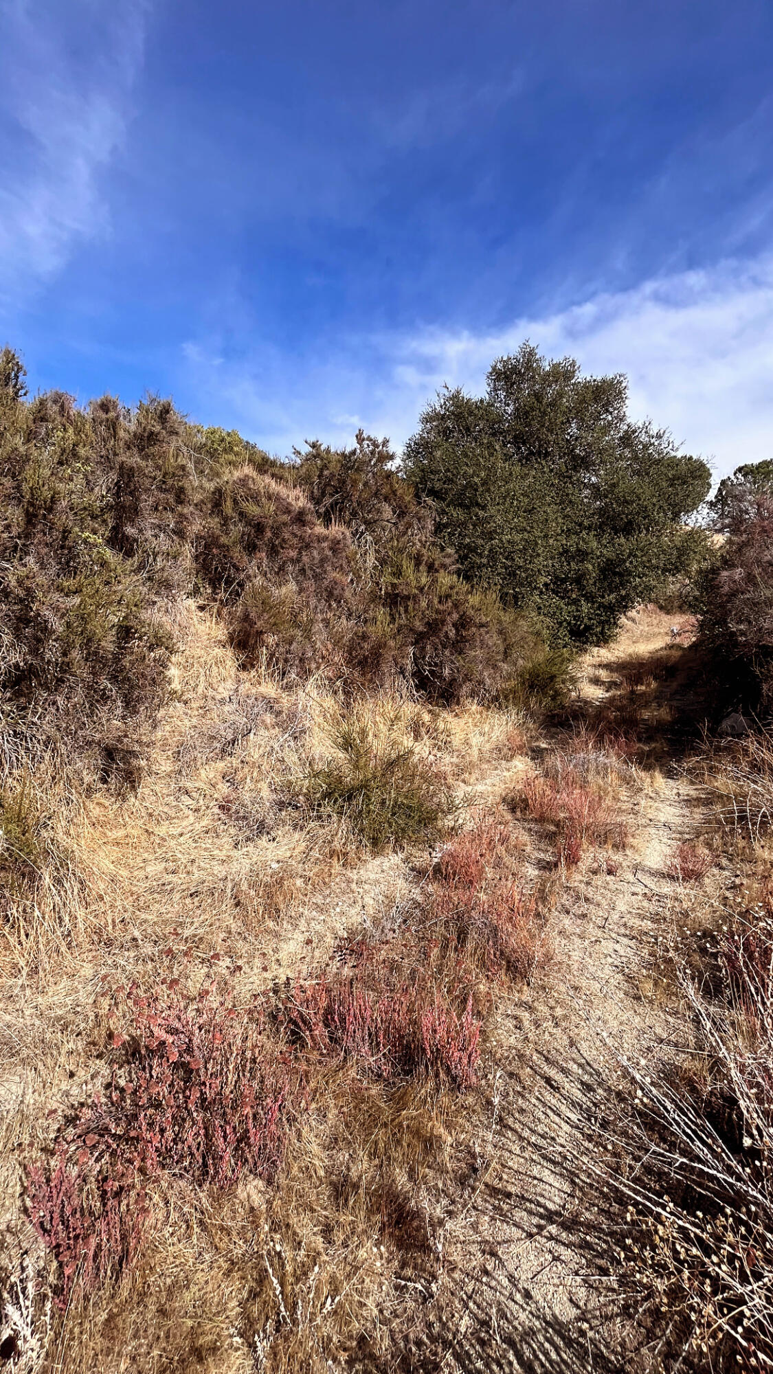 0 Partridge Street Banning, CA 92220 - Photo 5 of 5 a view of a large building with mountains in the background