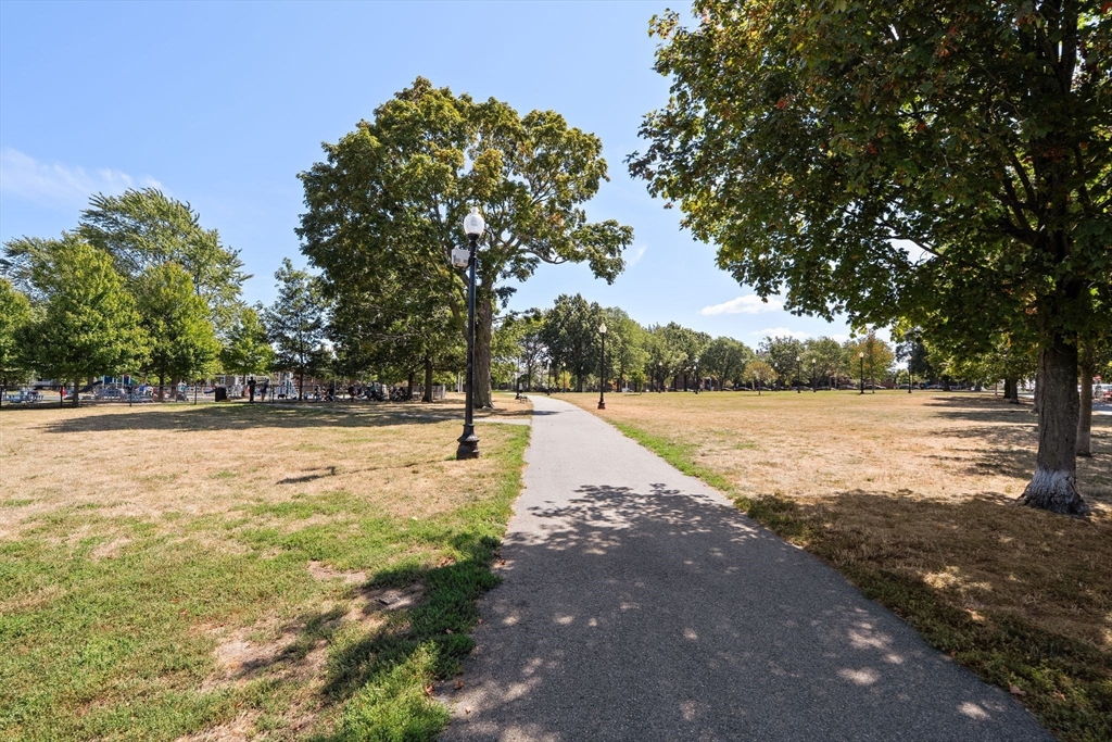 3 M Street, Unit 3 Boston, MA 02127 - Photo 33 of 34 a view of lake view