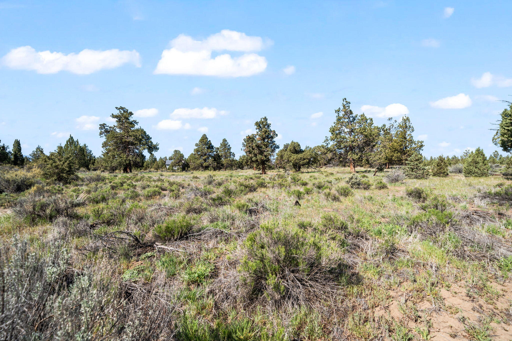 Southeast Gribbling Road, Unit 300 Bend, OR 97701 - Photo 13 of 28 20-web-or-mls-Gribbling Rd Lot 300 (17 o