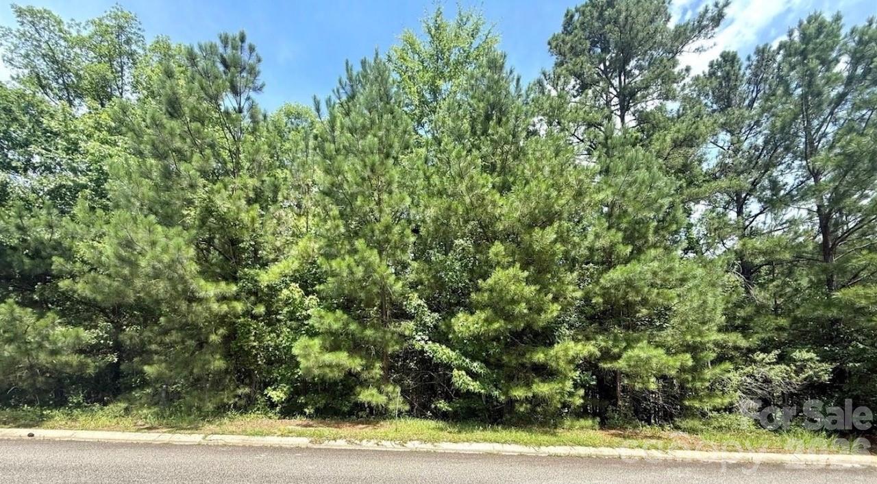 a view of a yard with plants