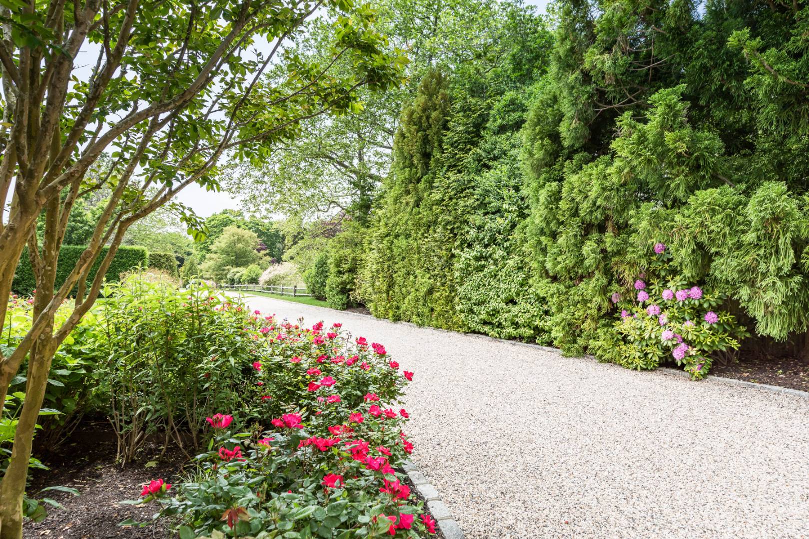30 Jones Road East Hampton, NY 11937 - Photo 21 of 21 a view of a flower in a garden