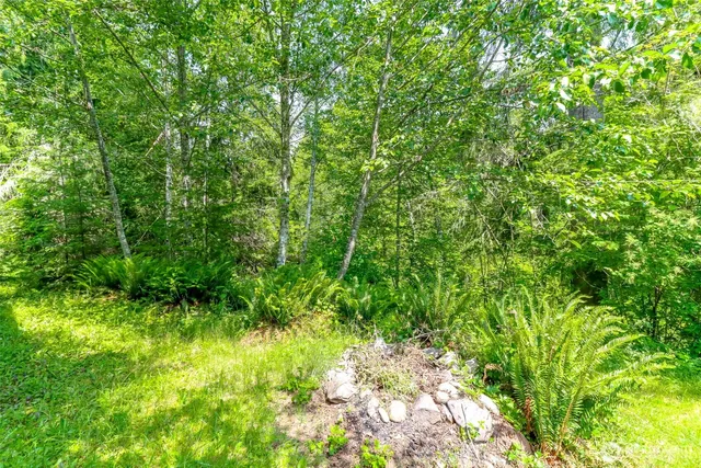 $385,000 | 278 Osborn Road, Ashford, WA 98304