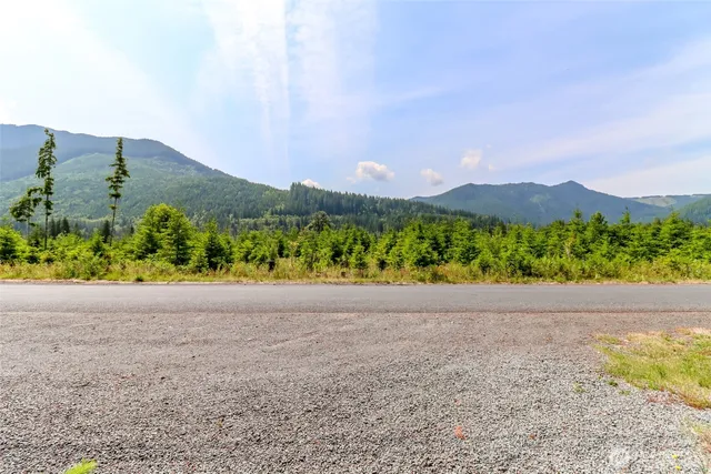 $385,000 | 278 Osborn Road, Ashford, WA 98304