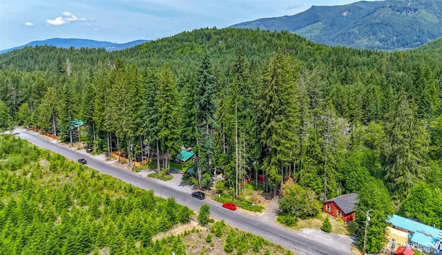 $385,000 | 278 Osborn Road, Ashford, WA 98304