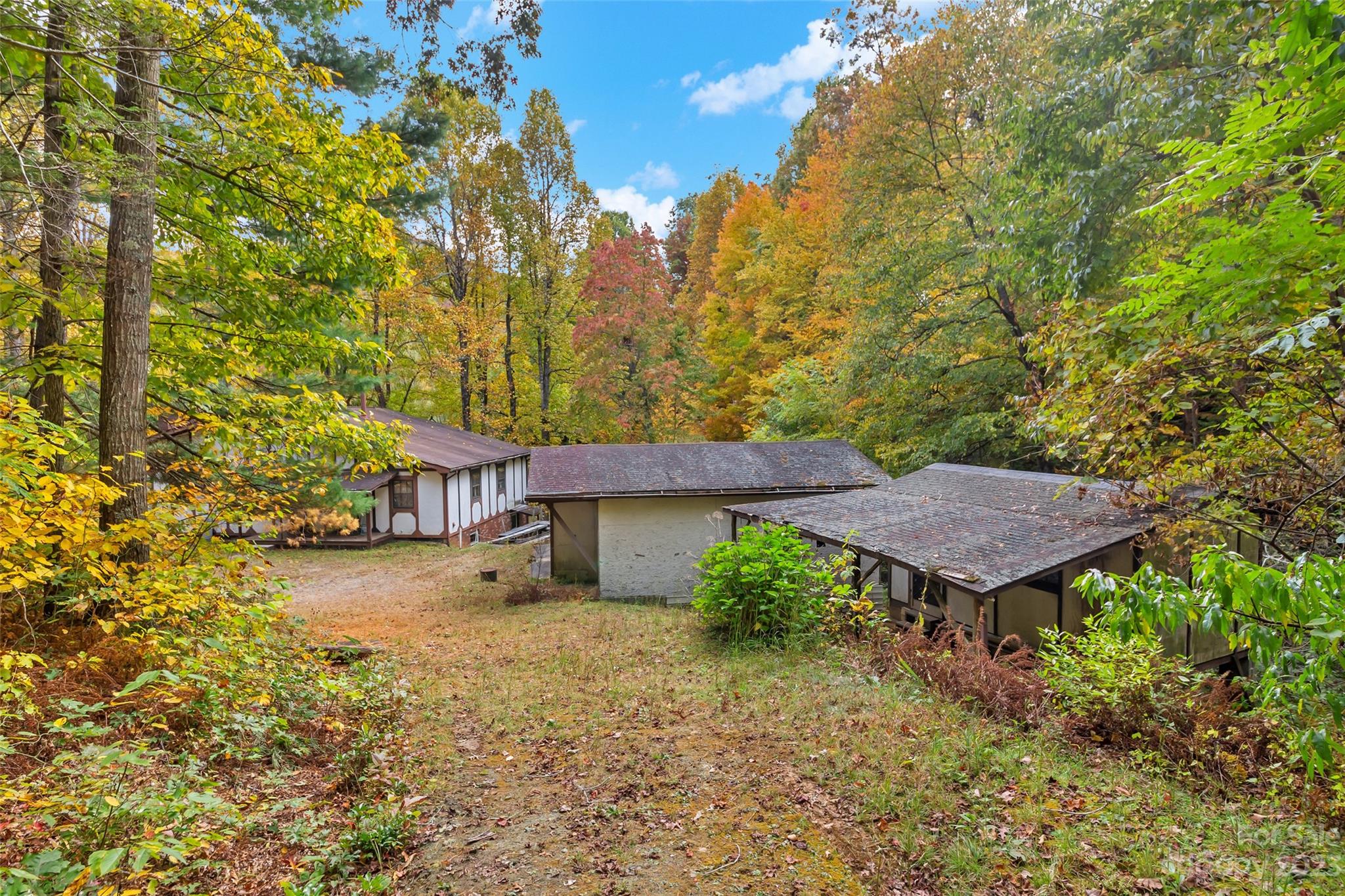 91 Chestnut Hill Road Black Mountain, NC 28711 - Photo 32 of 45 a view of a house with a yard plants and large tree