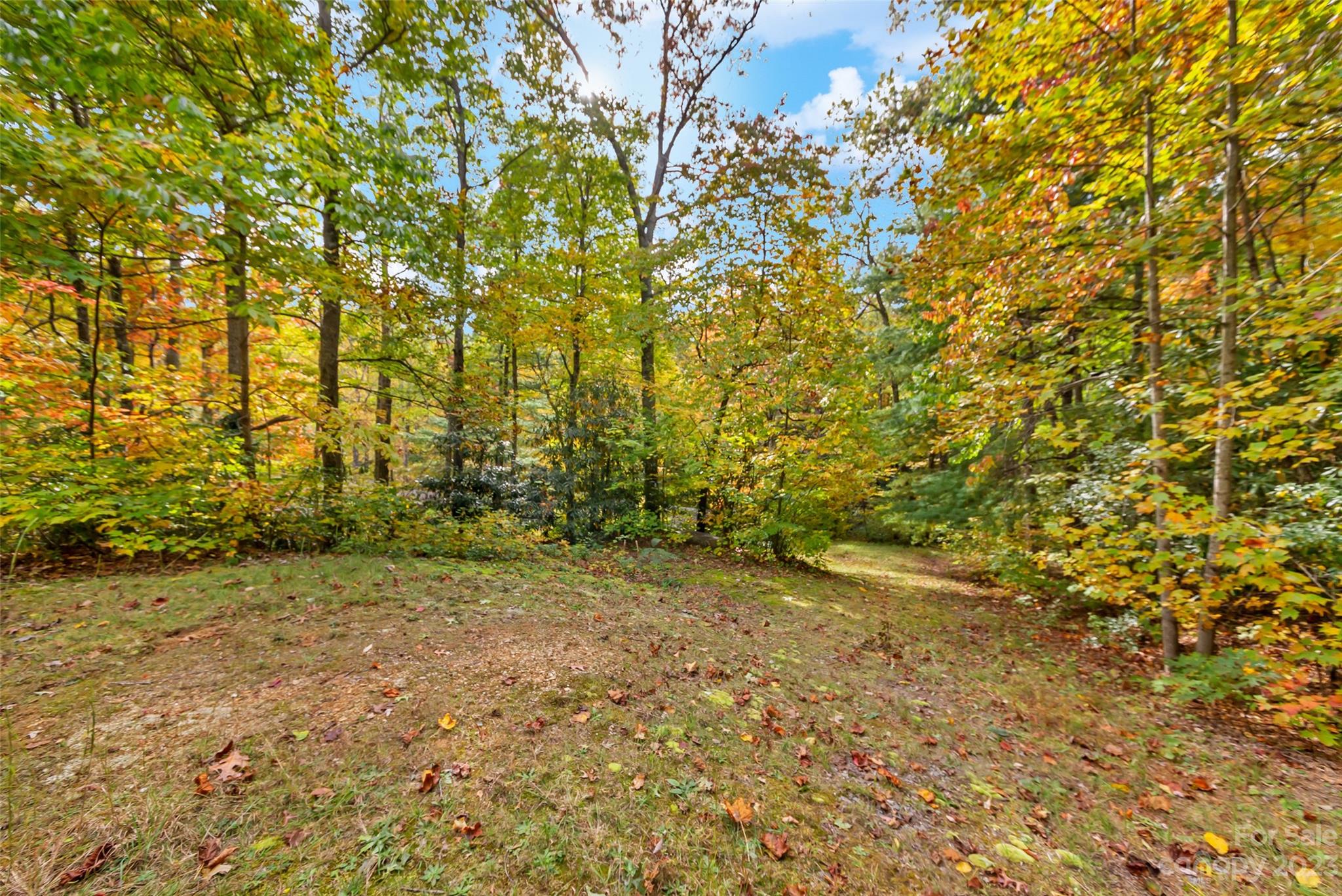 91 Chestnut Hill Road Black Mountain, NC 28711 - Photo 33 of 45 a view of a yard with a trees