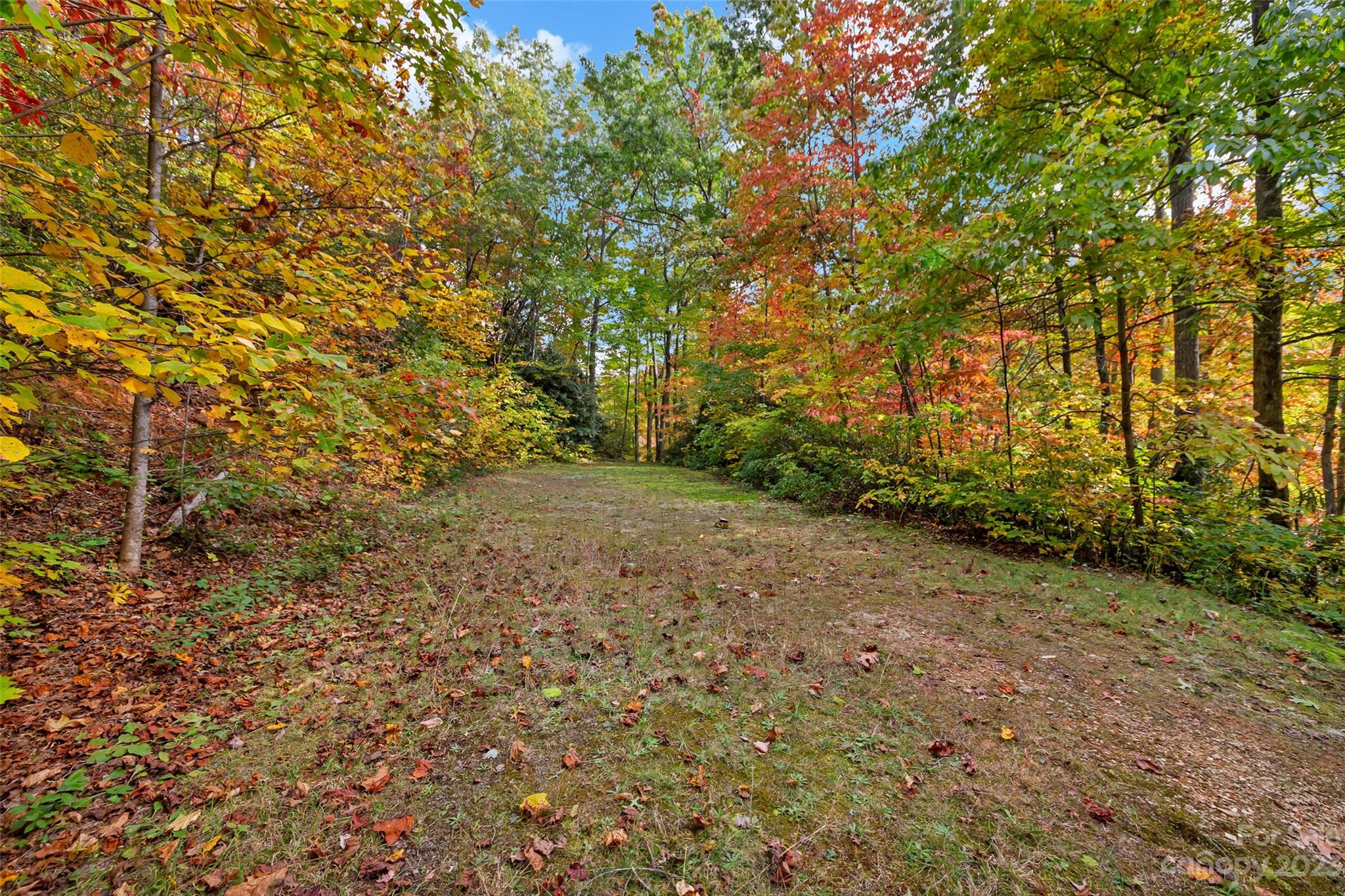 91 Chestnut Hill Road Black Mountain, NC 28711 - Photo 34 of 45 a view of a yard with plants and trees