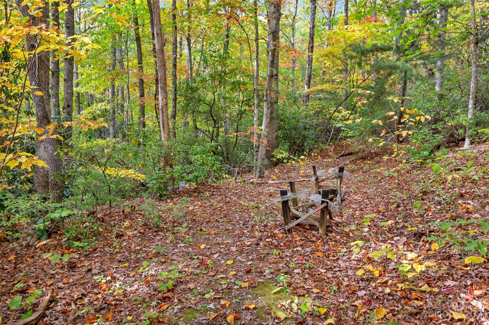 91 Chestnut Hill Road Black Mountain, NC 28711 - Photo 35 of 45 a view of a yard with plants and trees