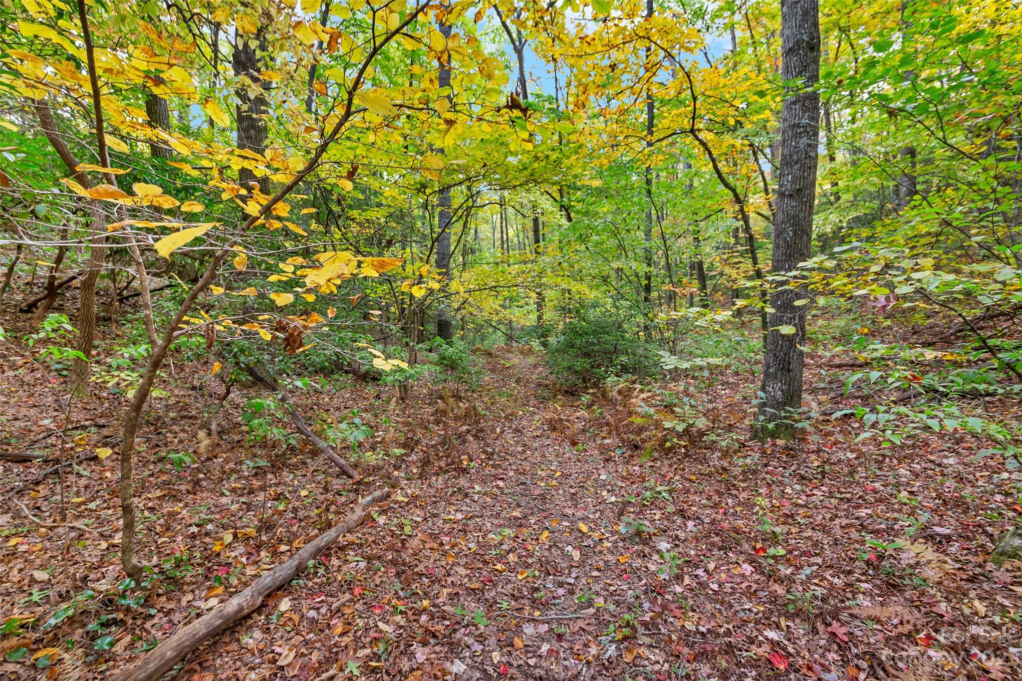 91 Chestnut Hill Road Black Mountain, NC 28711 - Photo 36 of 45 a view of a garden