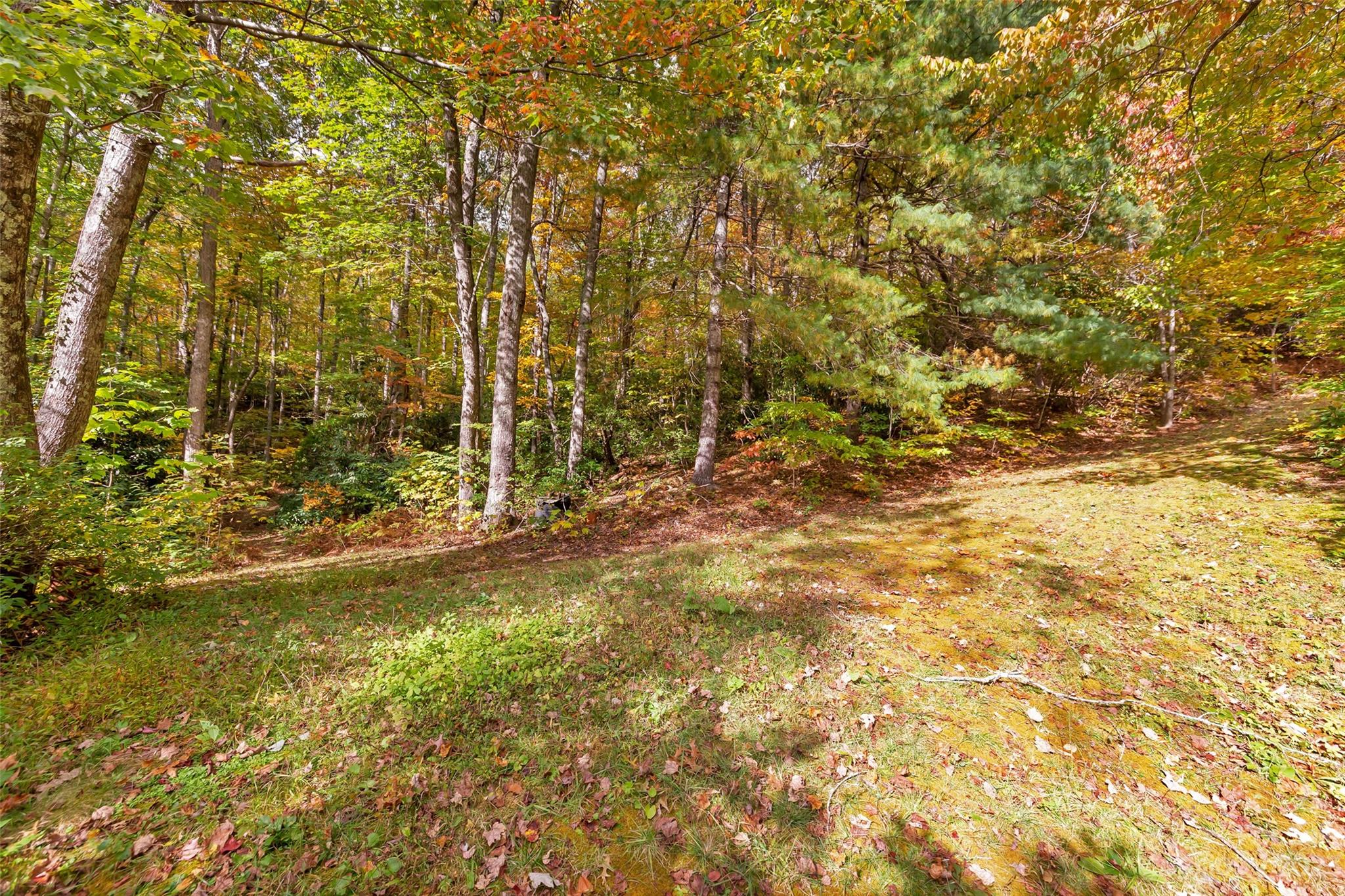 91 Chestnut Hill Road Black Mountain, NC 28711 - Photo 39 of 45 a view of a yard with a trees