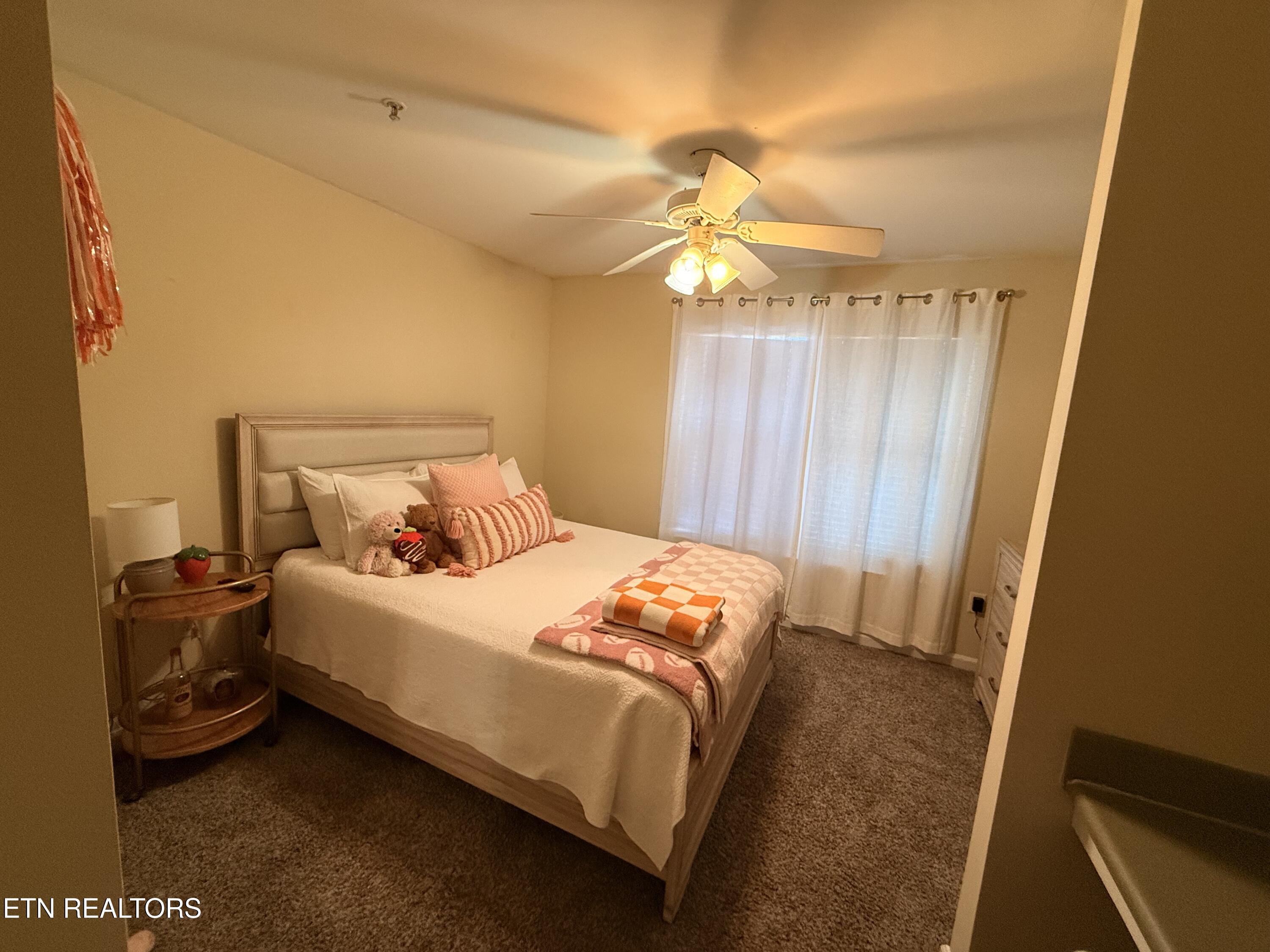 3708 Spruce Ridge Way, Unit 2102 Knoxville, TN 37920 - Photo 11 of 43 IMG_2519