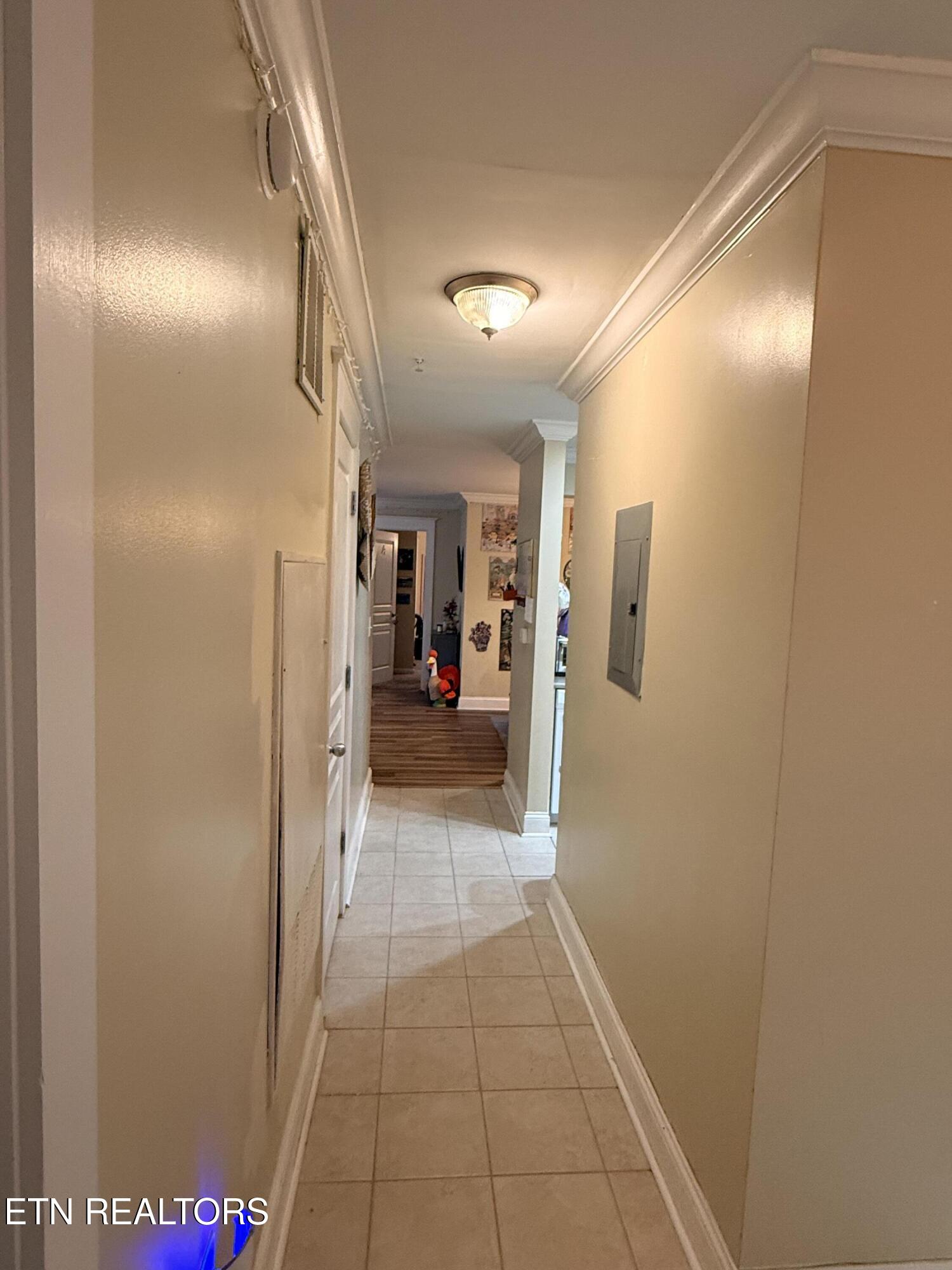 3708 Spruce Ridge Way, Unit 2102 Knoxville, TN 37920 - Photo 3 of 43 IMG_2521